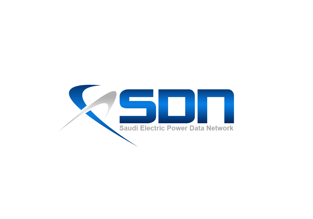 Saudi Electric Power Data Network Co. Ltd.